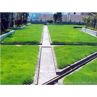 深圳罗湖区『屋顶绿化』植物种类